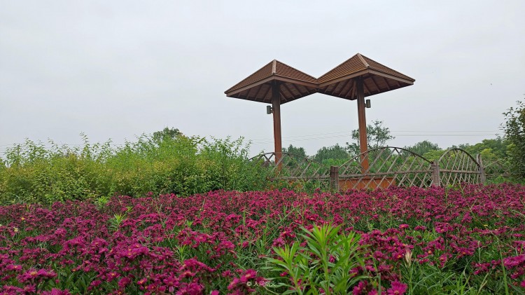 陌生人加好友，千万别通过